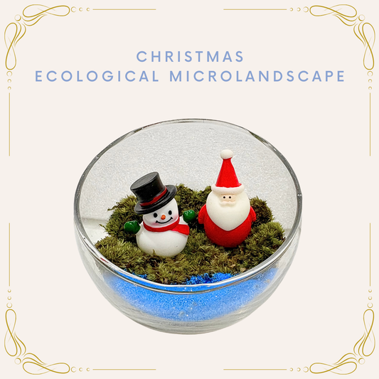 Moss Eco-Bottle DIY Material Kit | Garden and Flower Garden