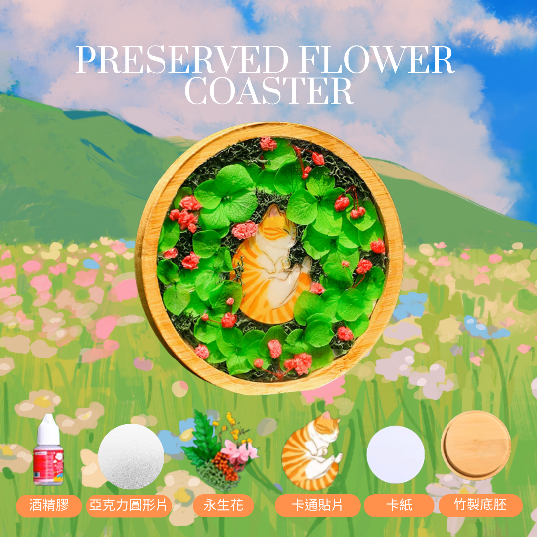 永生花杯墊DIY材料包|小貓