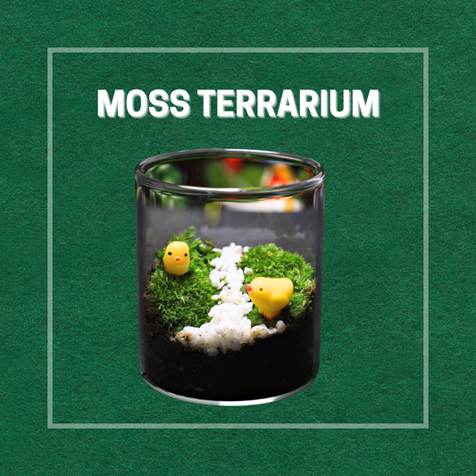 Moss Eco-Bottle DIY Material Kit | Garden and Flower Garden