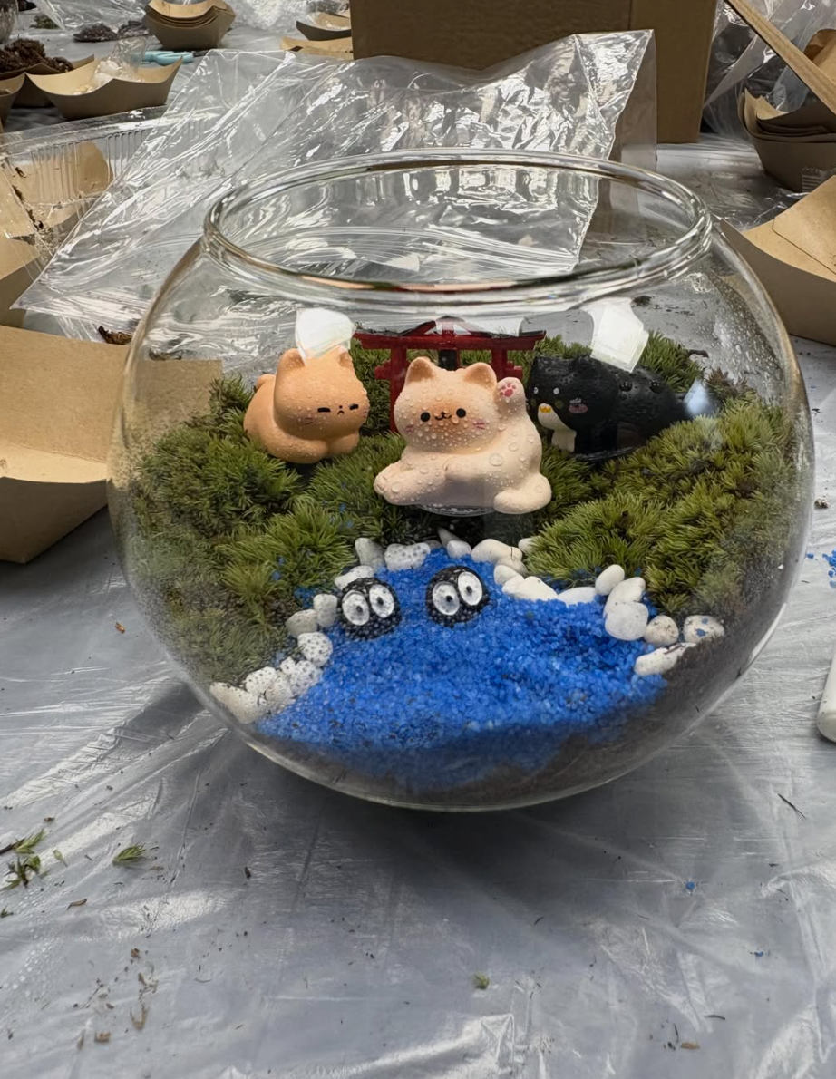 過往工作坊|苔蘚微景觀工作坊