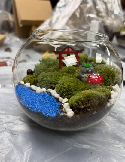 過往工作坊|苔蘚微景觀工作坊
