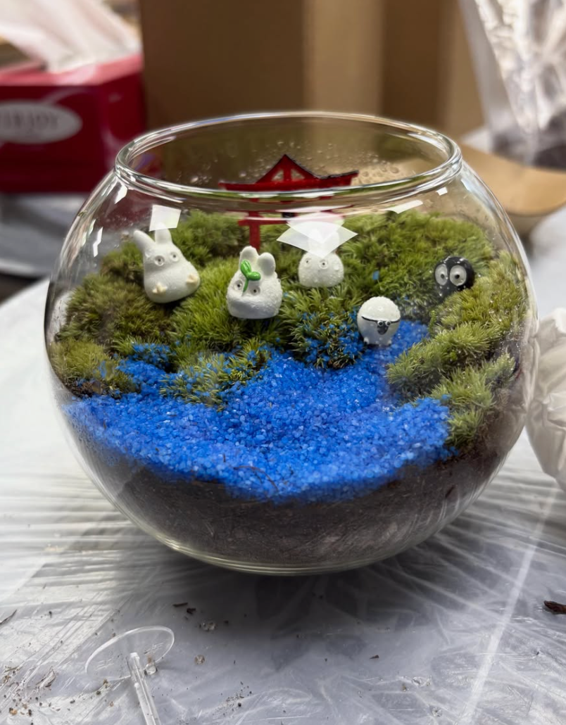 過往工作坊|苔蘚微景觀工作坊