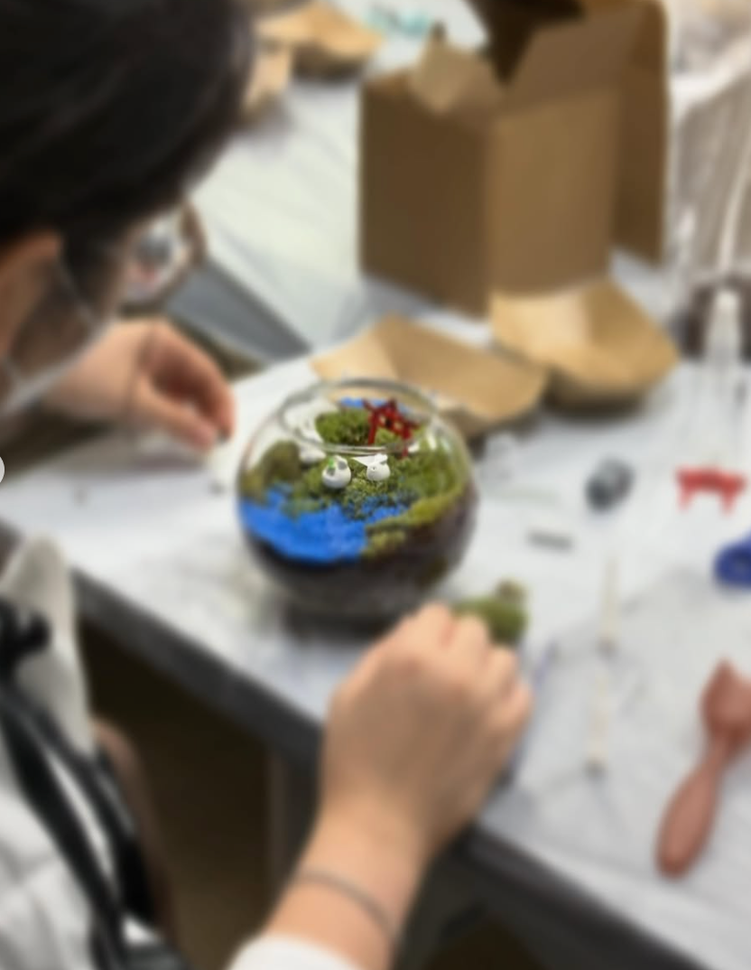 過往工作坊|苔蘚微景觀工作坊