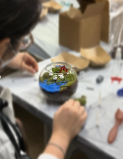 過往工作坊|苔蘚微景觀工作坊