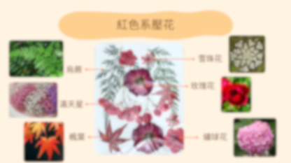 [工作坊教學套裝|材料+PPT流程全包] 復古壓花小夜燈|商場學校企業通用