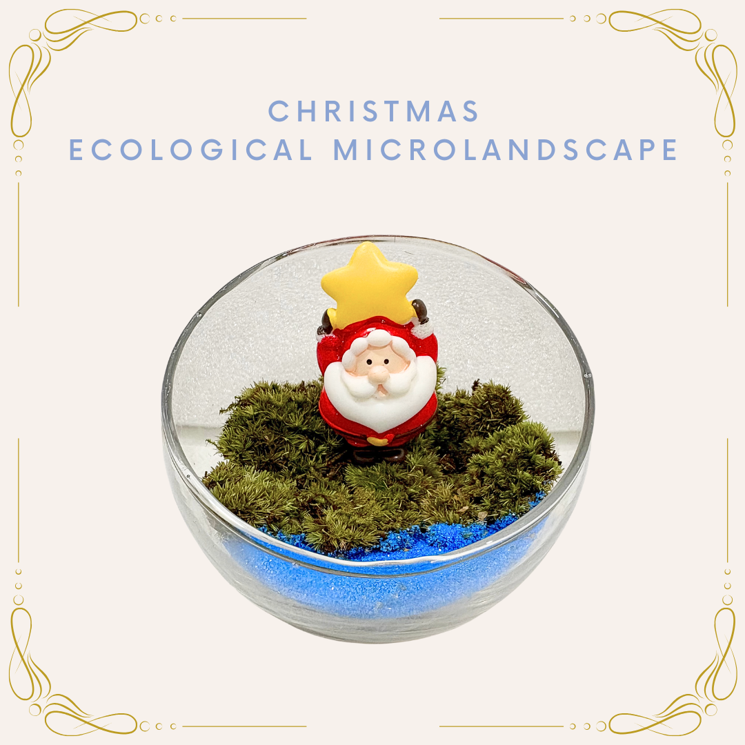 Night Light Preserved Flower Glass Ball Workshop