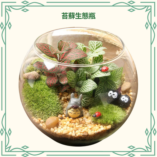 Moss Eco-Bottle DIY Material Kit | My Neighbor Totoro and the Coal Dust Ghost