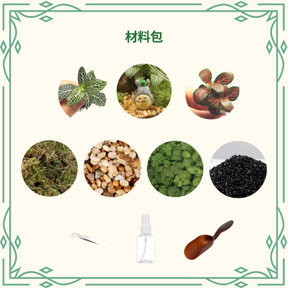 苔蘚生態瓶DIY材料包|龍貓與小青蛙