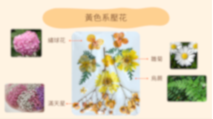 [工作坊教學套裝|材料+PPT流程全包] 復古壓花小夜燈|商場學校企業通用
