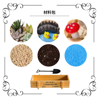 Succulent Plant Pots|Duckling in the Lake