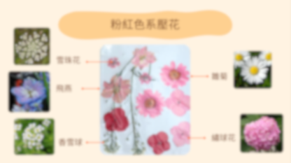 [工作坊教學套裝|材料+PPT流程全包] 復古壓花小夜燈|商場學校企業通用