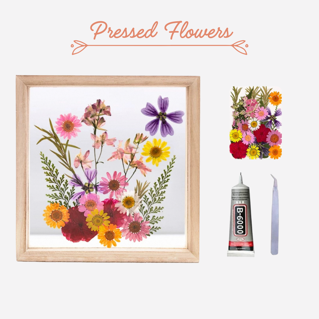 Beach Shell Painting DIY Material Kit | Purple