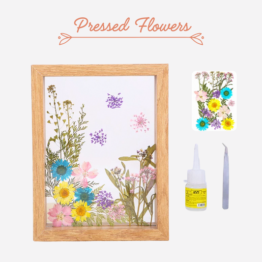 Beach Shell Painting DIY Material Kit | Purple