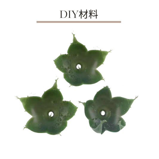 手工藝DIY配件|花托(送花釘)