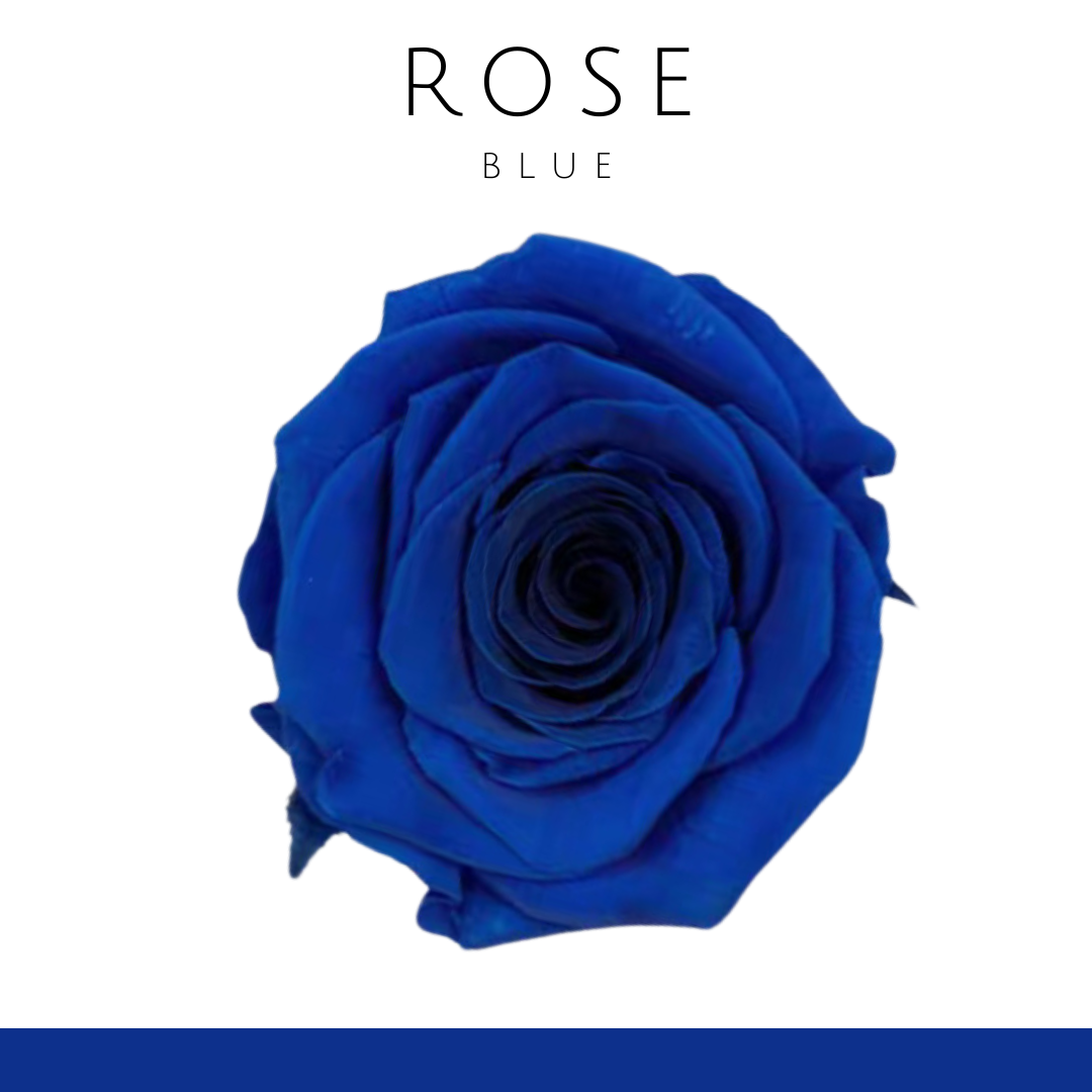 玫瑰花永生花(單朵)5-6cm|深藍