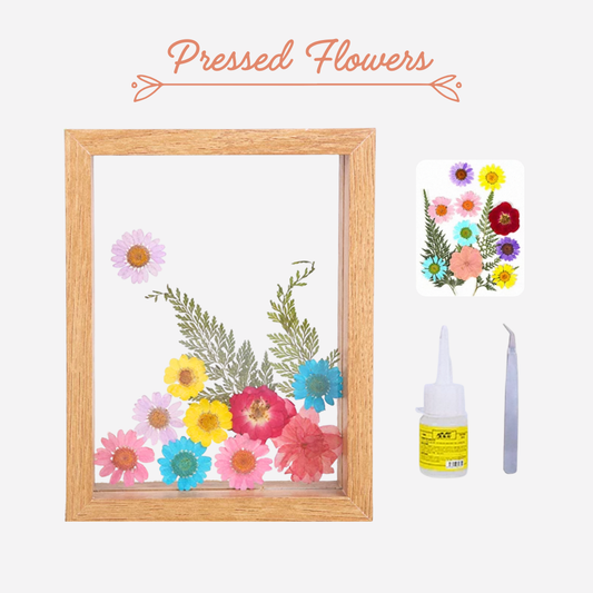 Beach Shell Painting DIY Material Kit | Purple