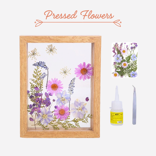 Beach Shell Painting DIY Material Kit | Purple