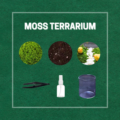 Moss Eco-Bottle DIY Material Kit | Garden and Flower Garden