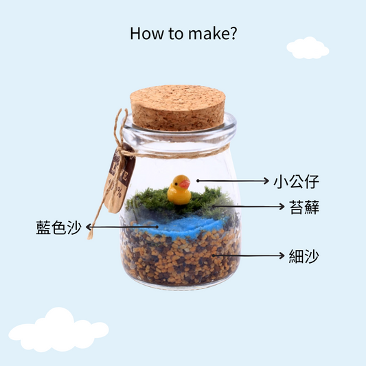 苔蘚微景觀工作坊-小瓶