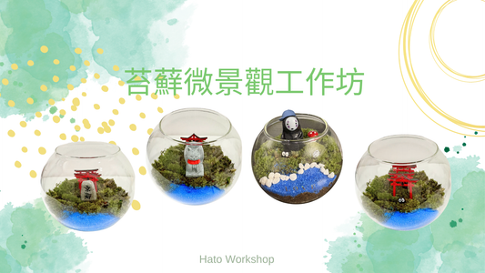 [免費資源|工作坊PDF教學流程|搞活動]苔蘚微景觀工作坊|商場學校企業通用