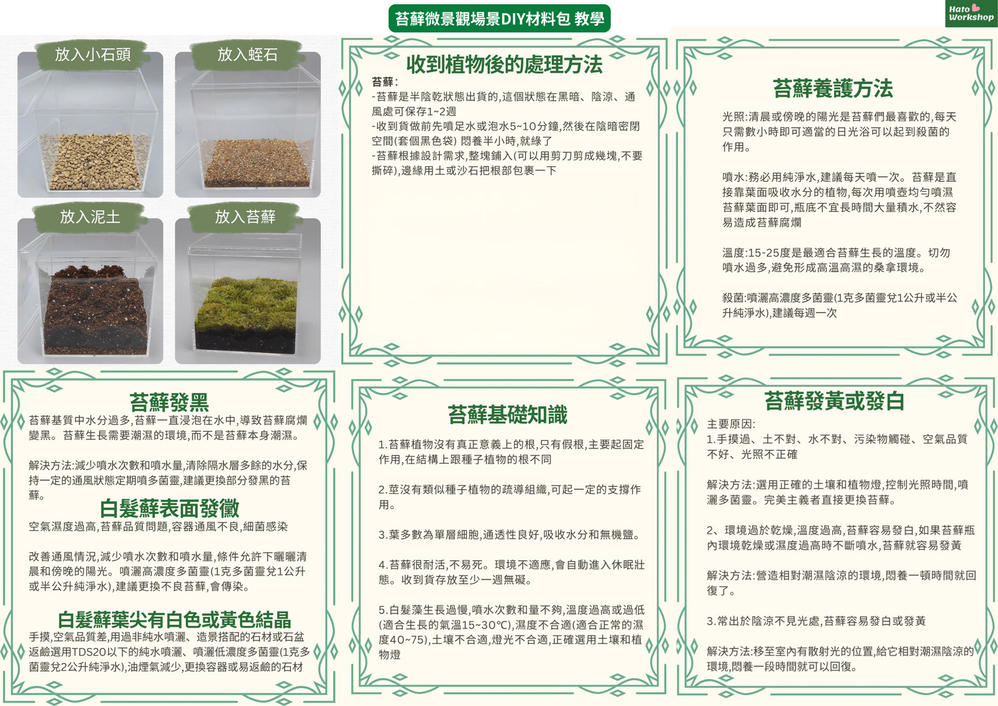 Moss micro landscape scene DIY material package | square box | cute puppy