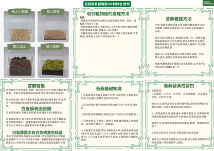 Moss micro landscape scene DIY material package | square box | cute puppy