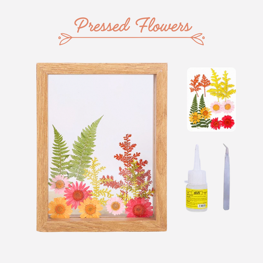 Beach Shell Painting DIY Material Kit | Purple