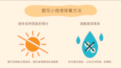 [工作坊教學套裝|材料+PPT流程全包] 復古壓花小夜燈|商場學校企業通用
