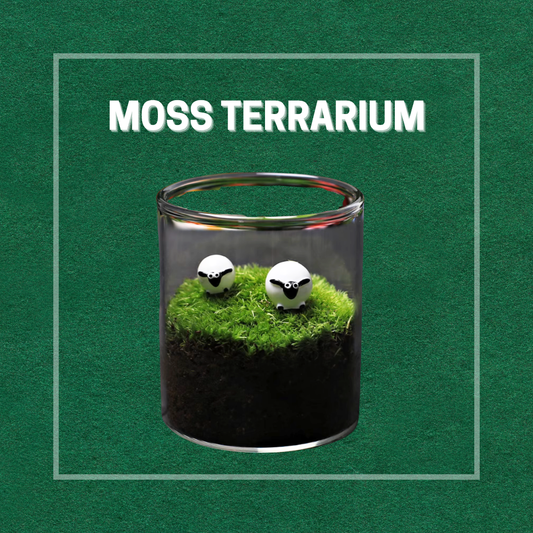 Moss Eco-Bottle DIY Material Kit | Garden and Flower Garden