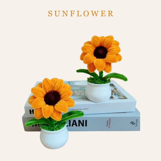 新年扭扭棒|太陽花小盆栽工作坊