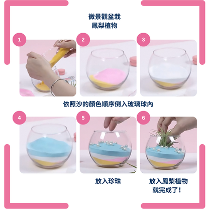 Micro Landscape Potted Plants | Pink, Blue, Green, White