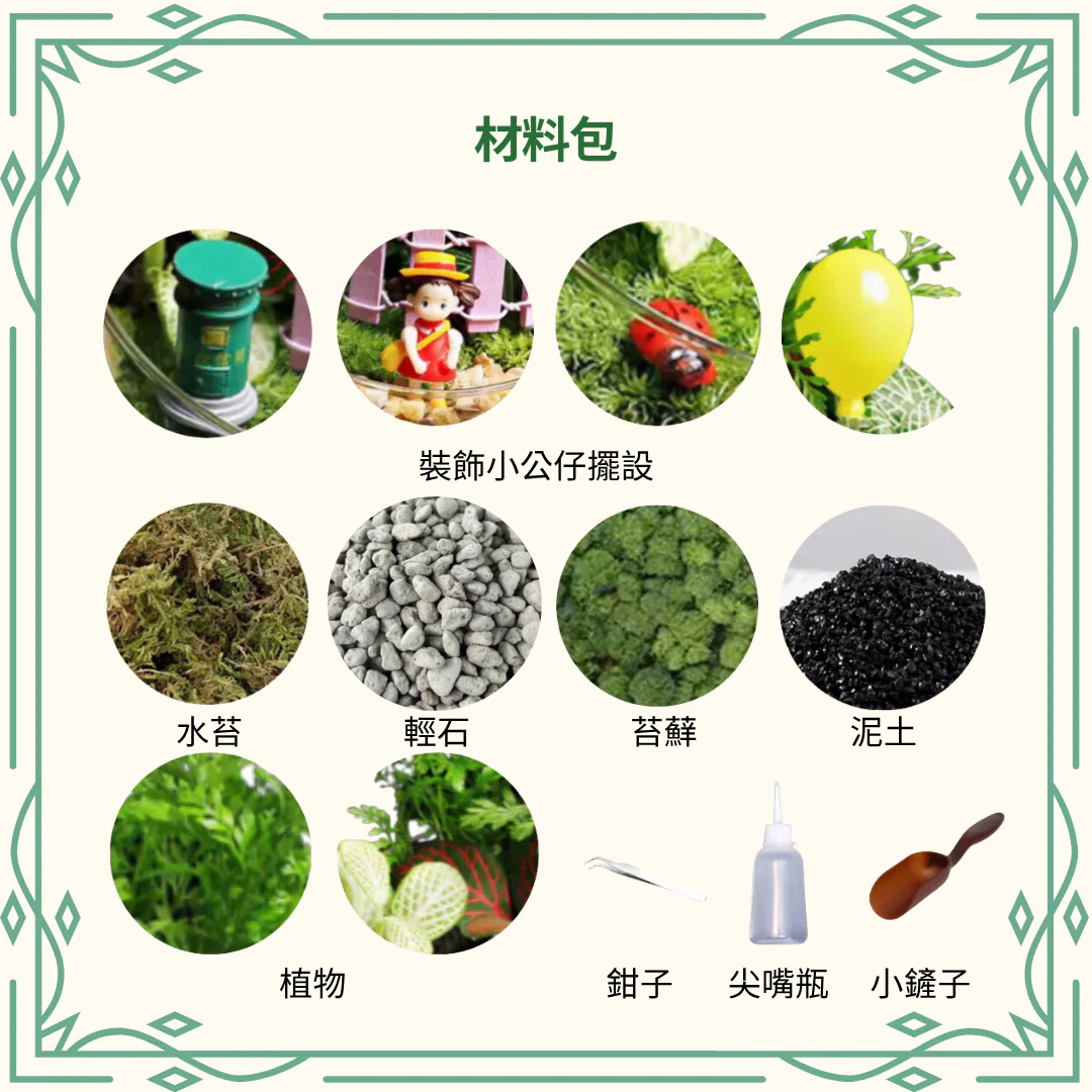 Moss Eco-Bottle DIY Material Kit | Xiaomei Garden