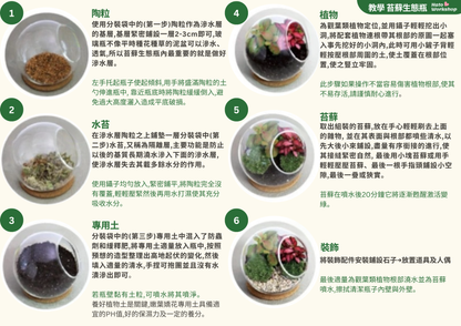 Moss Eco-Bottle DIY Material Kit | My Neighbor Totoro and the Coal Dust Ghost