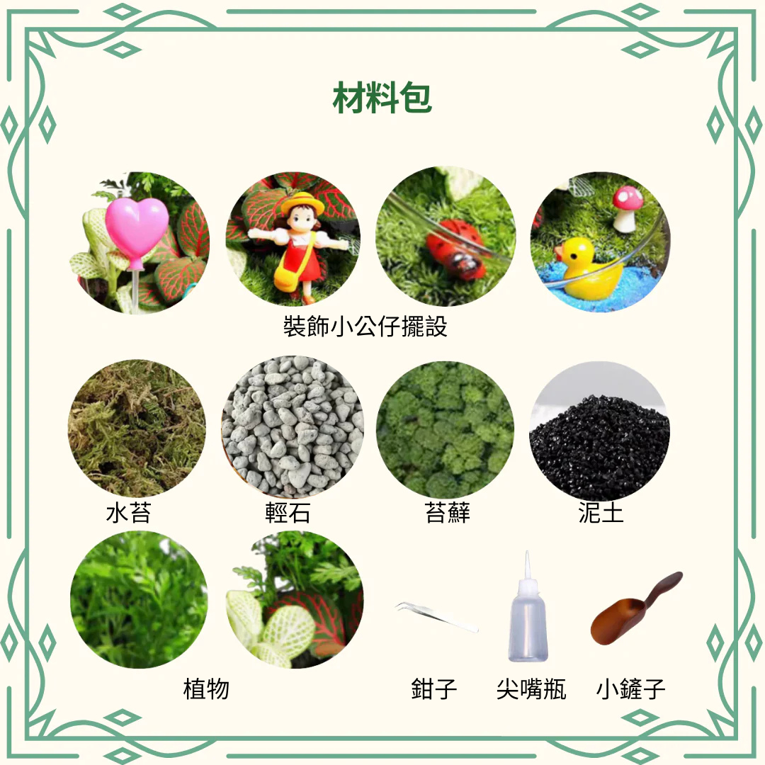 Moss Eco Bottle DIY Material Kit | Xiaomei Riverside