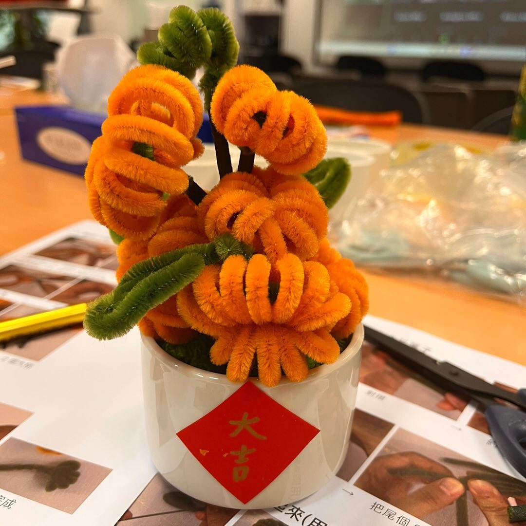 Medtronic|新年創意手作 扭扭棒小桔盆栽工作坊