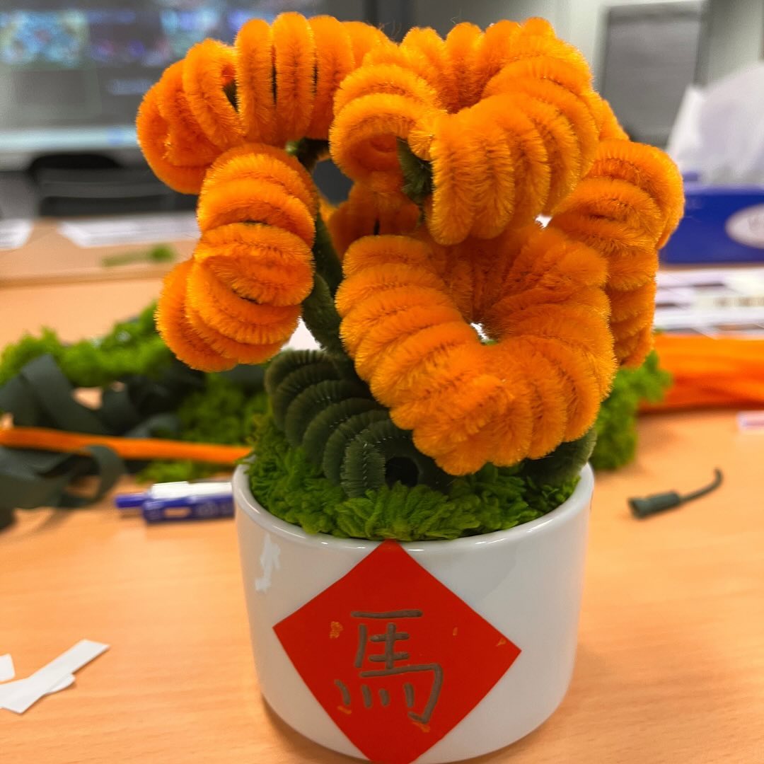 Medtronic|新年創意手作 扭扭棒小桔盆栽工作坊