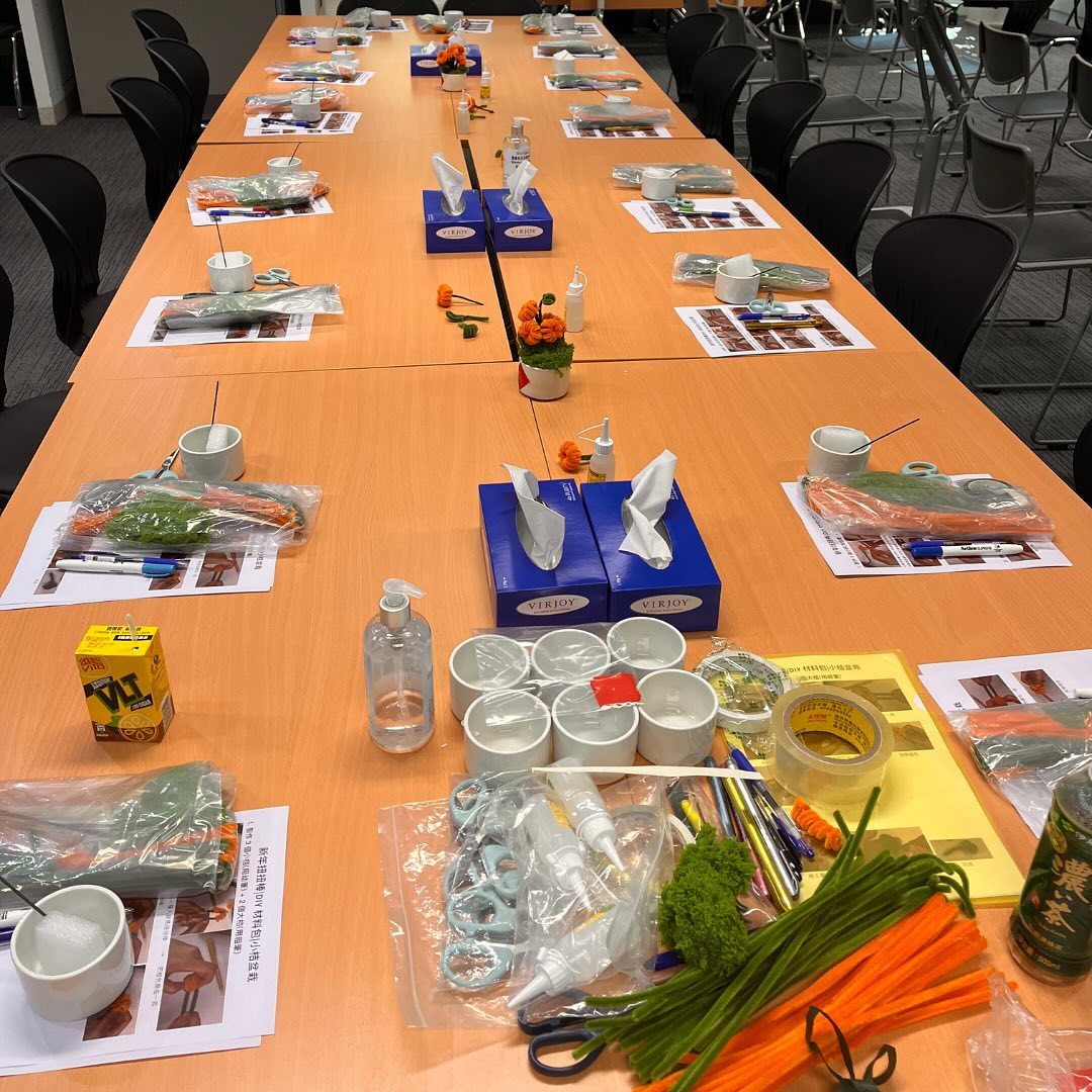 Medtronic|新年創意手作 扭扭棒小桔盆栽工作坊