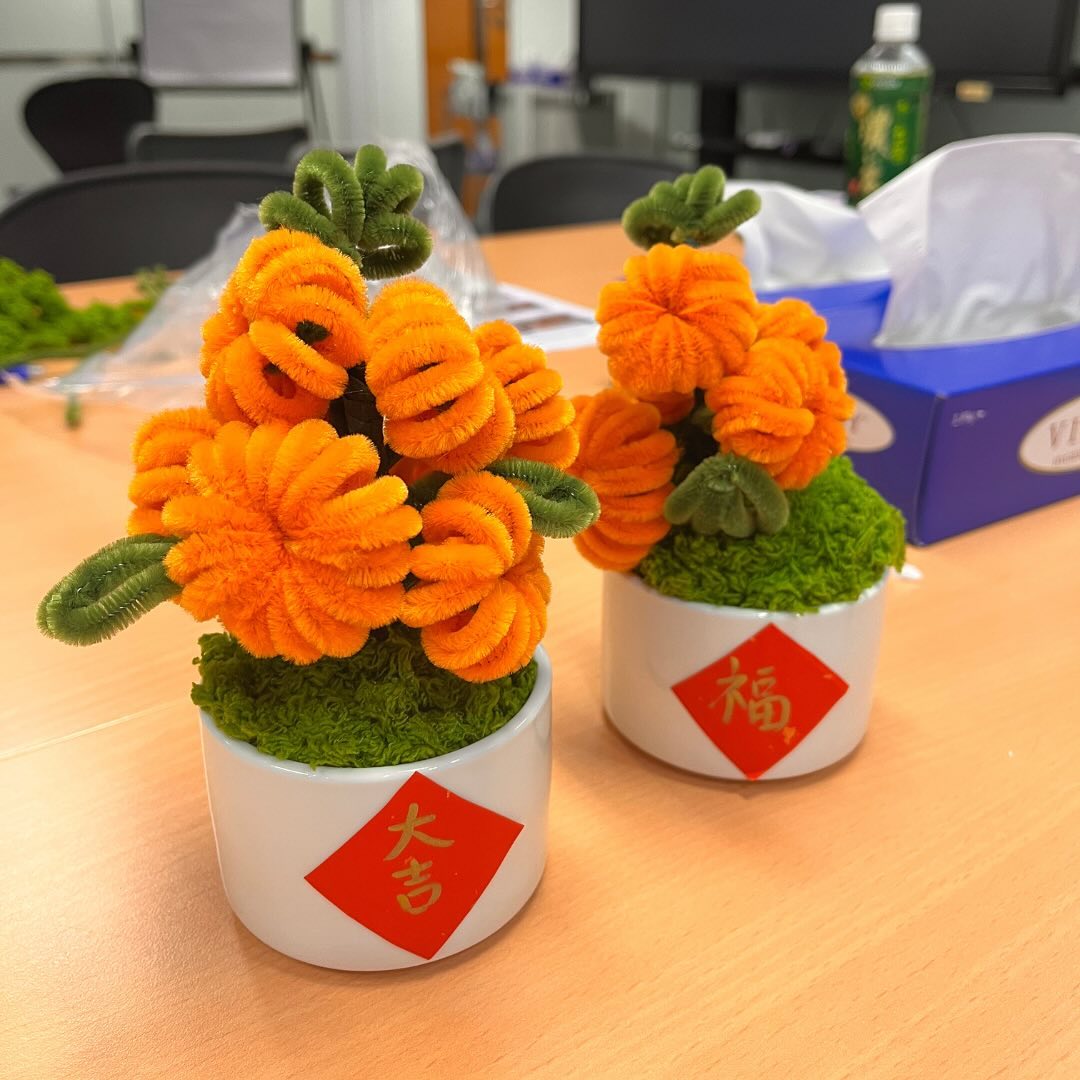 Medtronic|新年創意手作 扭扭棒小桔盆栽工作坊