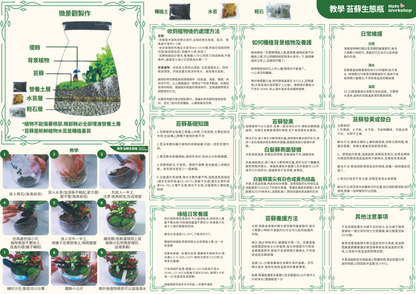 Moss Eco-Bottle DIY Material Kit | Rainy Day Xiaomei and the Bunny