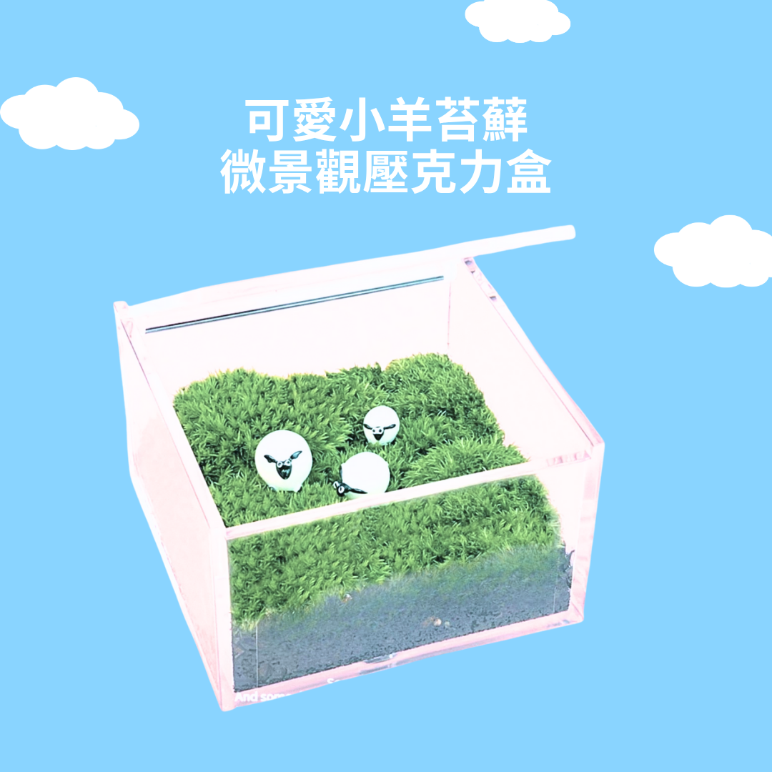 Moss micro-landscape DIY material package | square box | Totoro and coal dung ghost