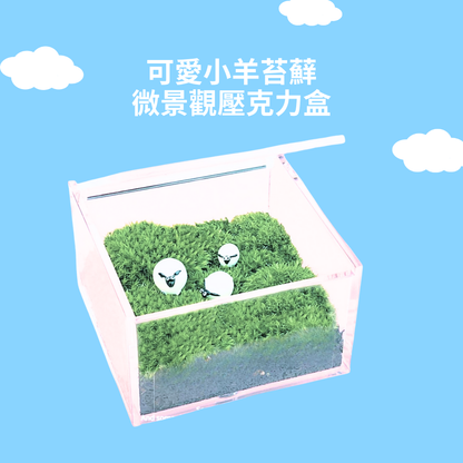 Moss micro-landscape DIY material package | square box | Totoro and coal dung ghost