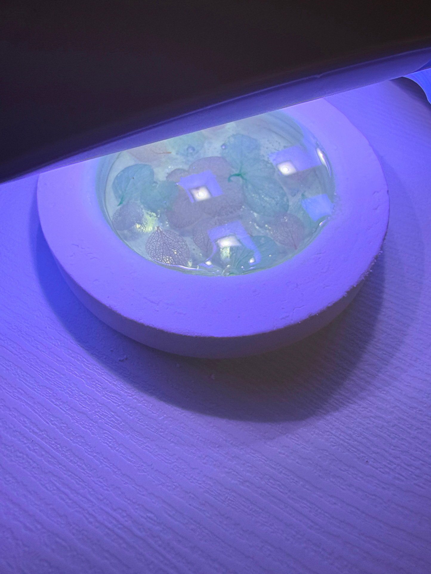 Night Light Preserved Flower Glass Ball Workshop