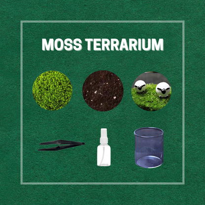 Moss Eco-Bottle DIY Material Kit | Garden and Flower Garden