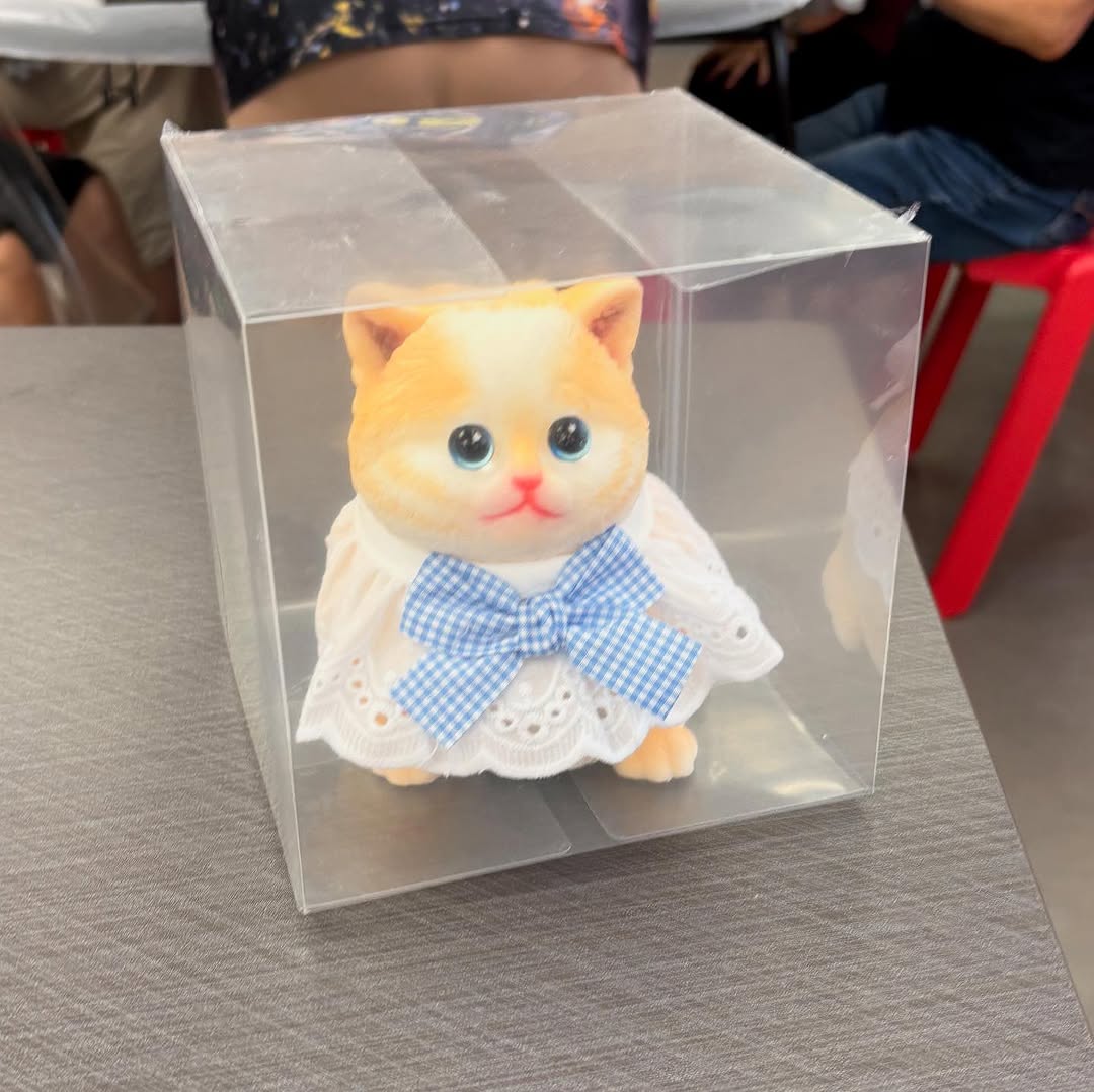 鄰舍輔導會天瑞鄰里康齡中心|貓貓捏捏膠工作坊