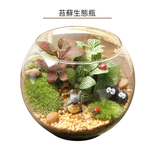 苔蘚生態瓶DIY材料包|龍貓與煤碳屎鬼