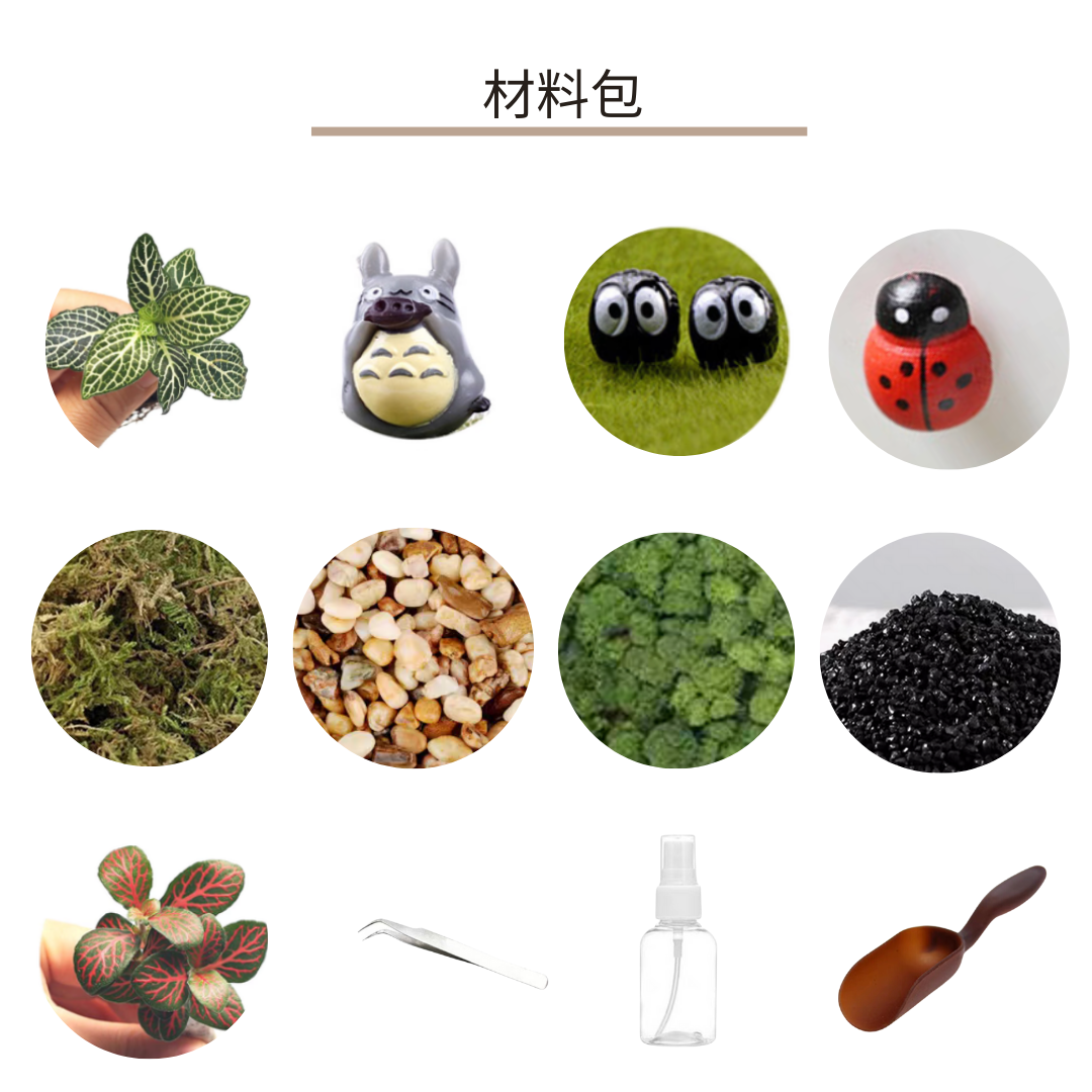 苔蘚生態瓶DIY材料包|龍貓與煤碳屎鬼