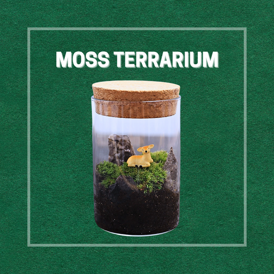 Moss Eco-Bottle DIY Material Kit | Garden and Flower Garden