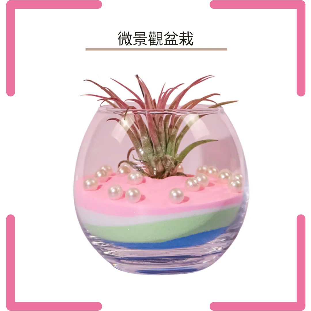 Micro Landscape Potted Plants | Pink, Blue, Green, White