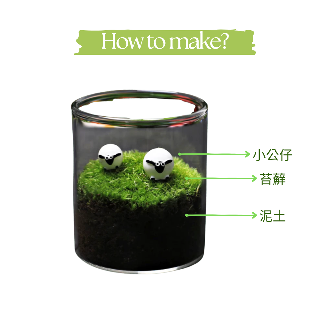 Night Light Preserved Flower Glass Ball Workshop