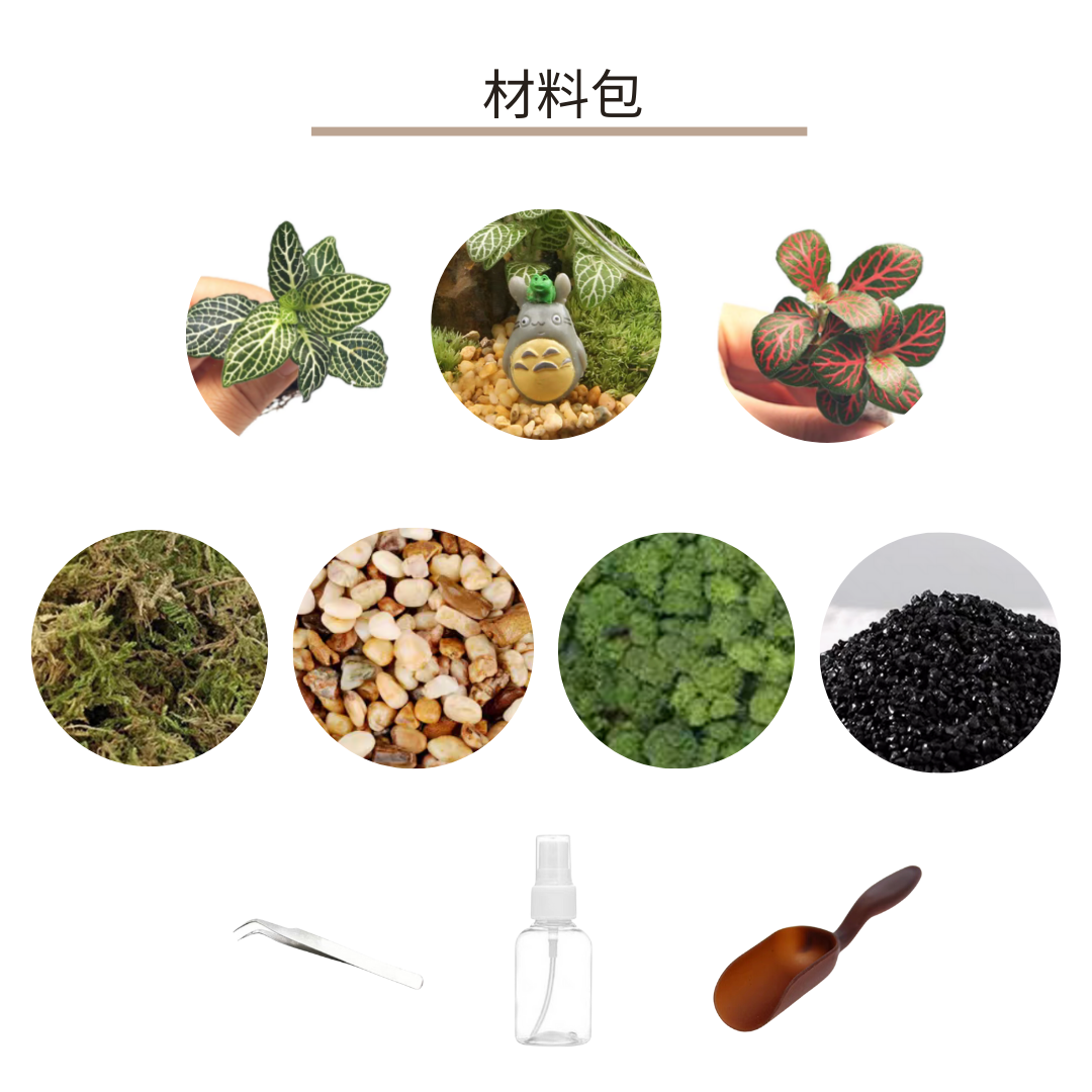 苔蘚生態瓶DIY材料包|龍貓與小青蛙